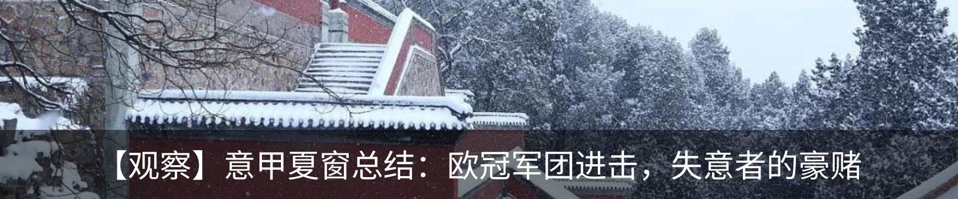 新闻动态