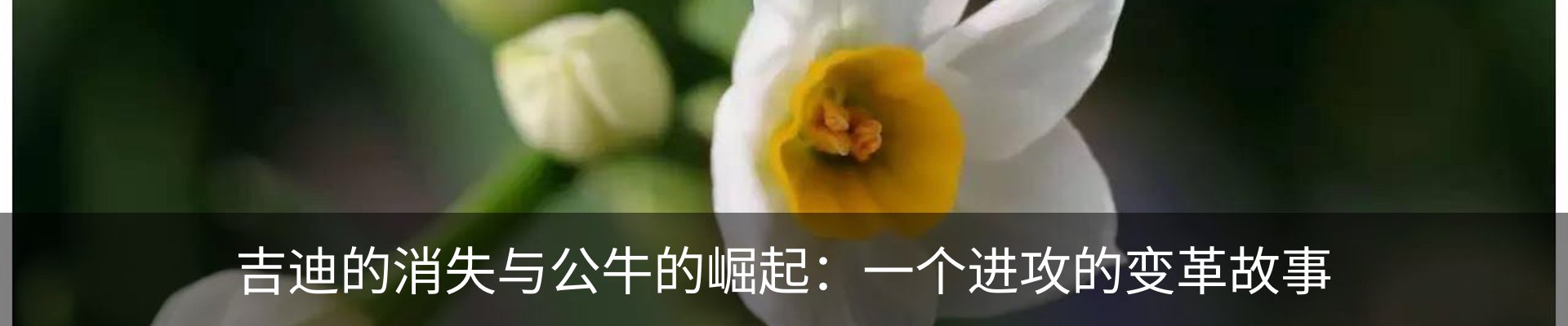 新闻动态