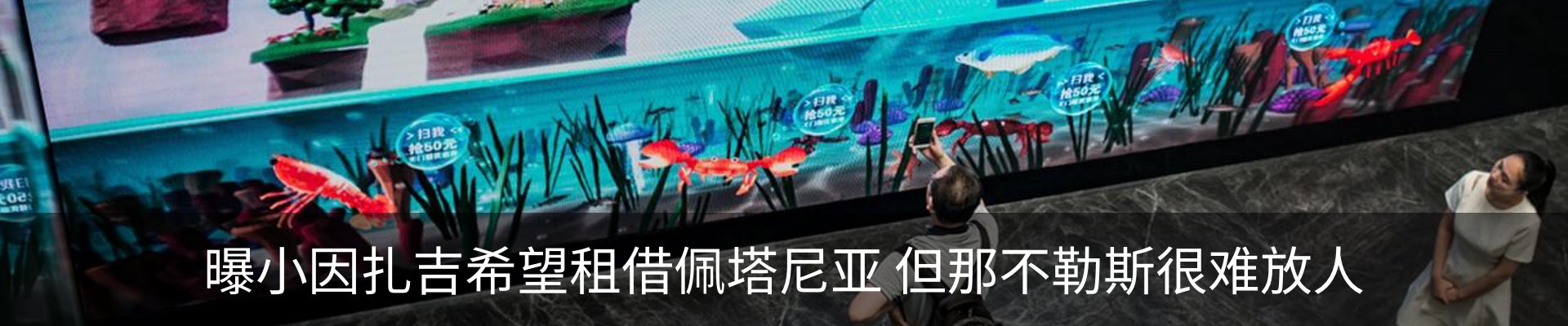 新闻动态