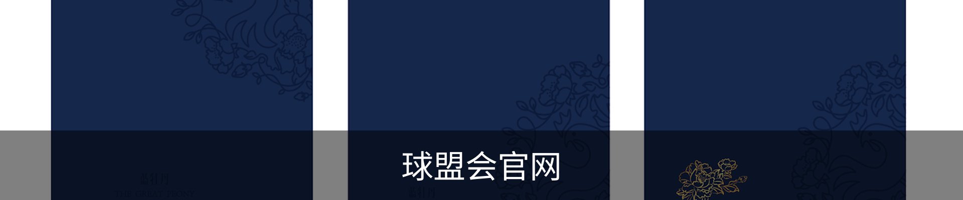 球盟会-球盟会 (中国)官方网站-登录入口-球盟会