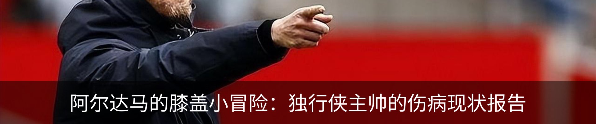新闻动态