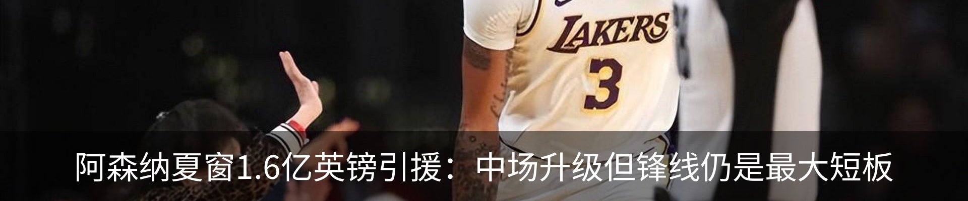 新闻动态